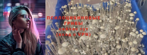 MESCALINE Алзамай