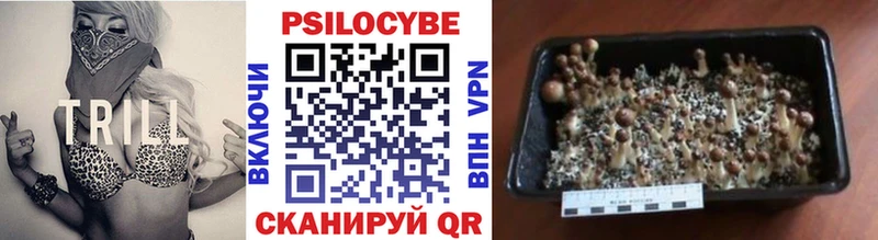 Псилоцибиновые грибы GOLDEN TEACHER  Всеволожск 